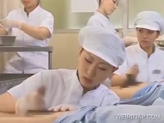 日本语 护士 加工 毛茸茸 啄木鸟